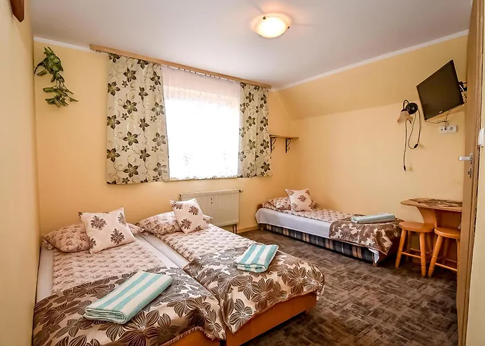 Dw Maria 1 Zakopane 住宿加早餐酒店