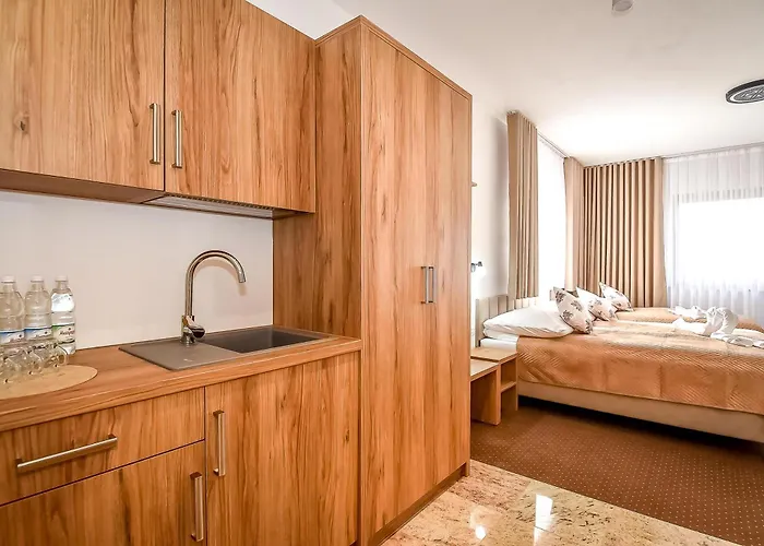 Dw Maria 1 Zakopane 住宿加早餐酒店