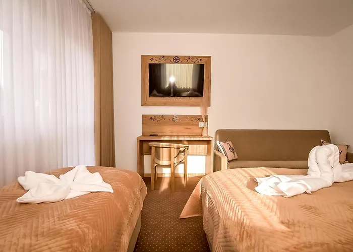 Dw Maria 1 Zakopane 住宿加早餐酒店 波罗宁