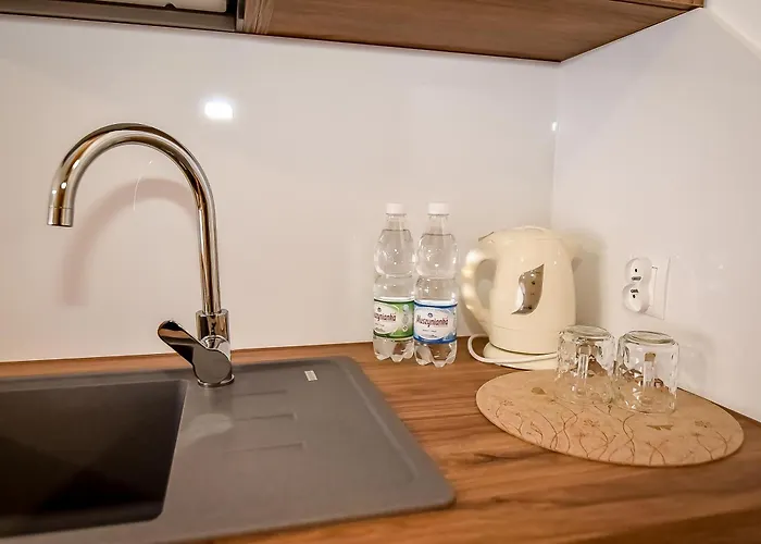 Dw Maria 1 Zakopane 3* 波罗宁