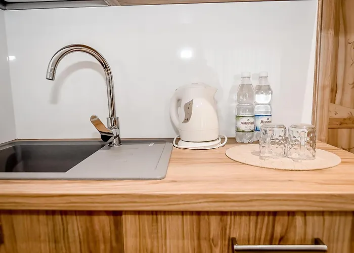 Dw Maria 1 Zakopane 住宿加早餐酒店 波罗宁