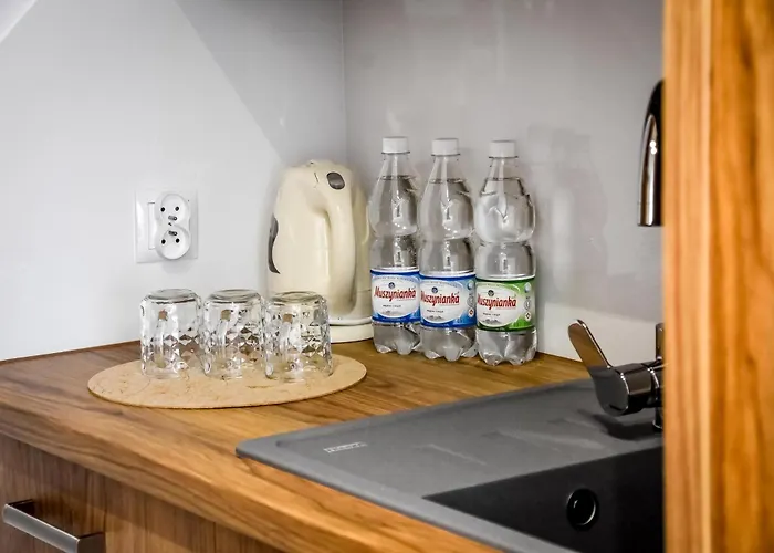 Dw Maria 1 Zakopane 波罗宁